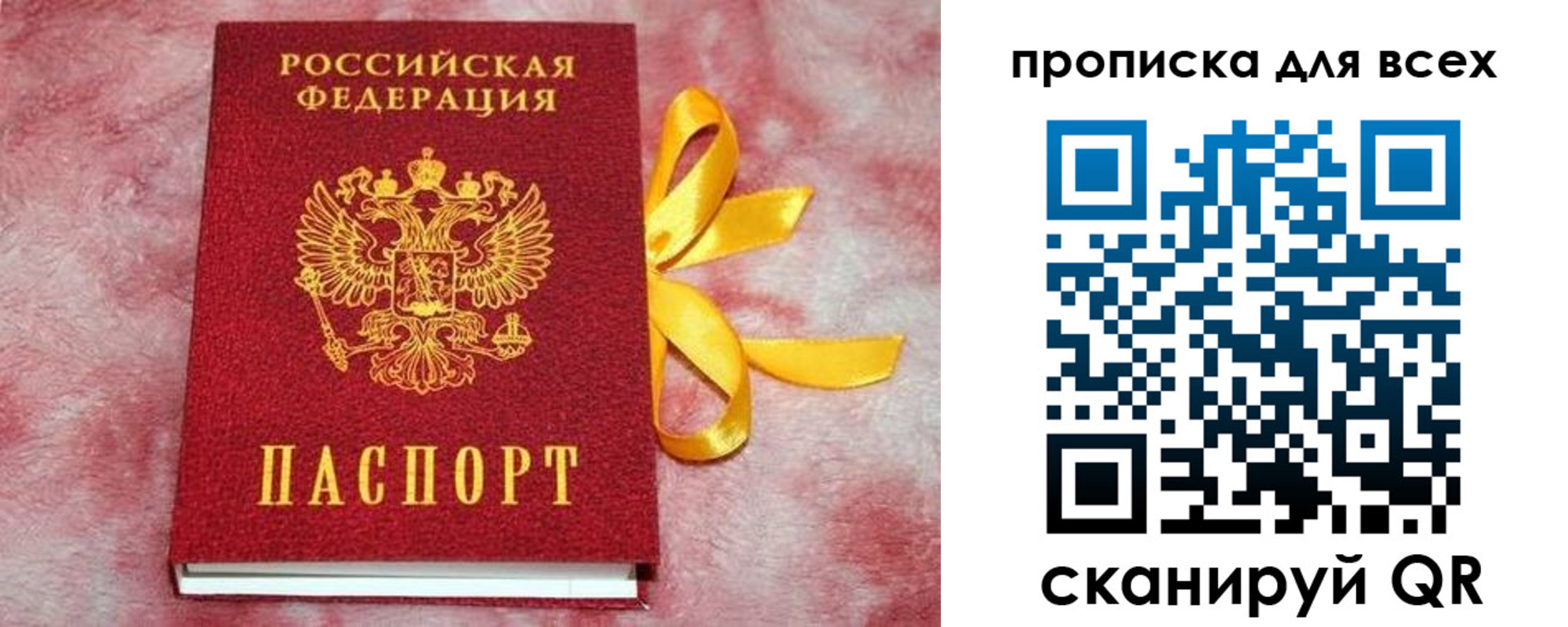 прописка для школы в Новодвинске
